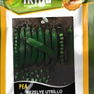 بازلاء - PEA BEZELYE UTRILLO