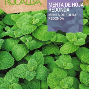 (Mentha rotundifolia)  بذور النعناع التفاح
