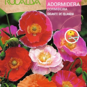 GIANT ICELAND POPPY - زهرة الخشخاشة