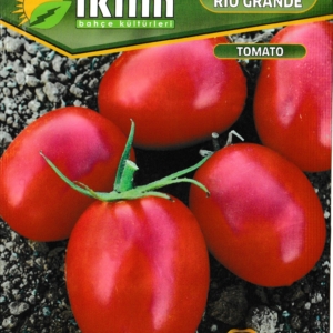 طماطم ريو جراندي - RIO GRANDE