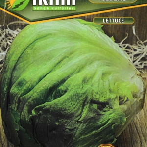 بذور الخس آيسبيرغ - Marul Iceberg