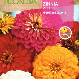 بذور الزينيا - (Zinnia elegans)