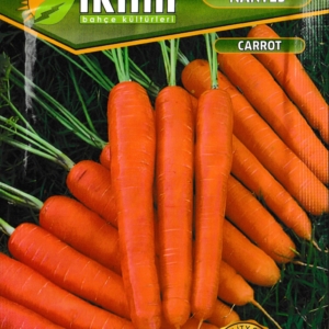 الجزر البرتقالي نانت