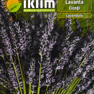 لافندر - cCICEGI LAVENDER