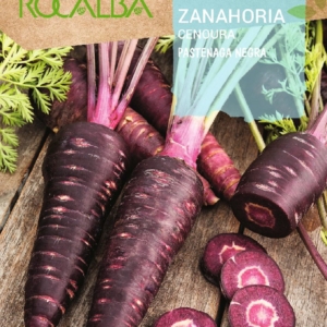 بذور الجزر البنفسجي