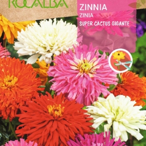 بذور الزينيا -(Zinnia elegans)