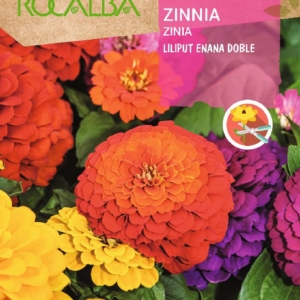 بذور الزينيا - (Zinnia elegans)