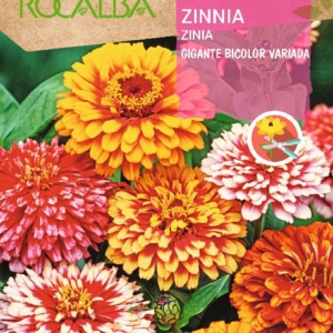 بذور الزينيا -(Zinnia elegans)