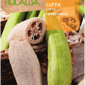 قرع اللوفة - ESPONJA VEGETAL