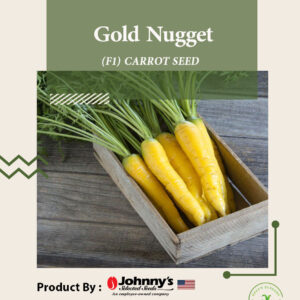 Gold Nugget
