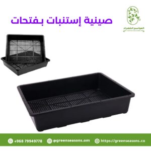 صينية استنبات بفتحات