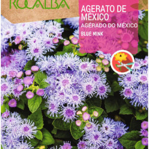 أجيراتوم BLUE MINK