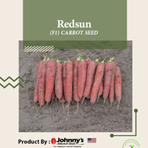 Redsun