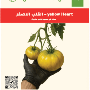 القلب الاصفر