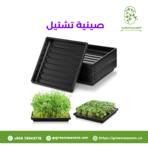 صينية تشتيل