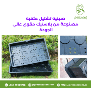 صينية تشتبل مثقبة