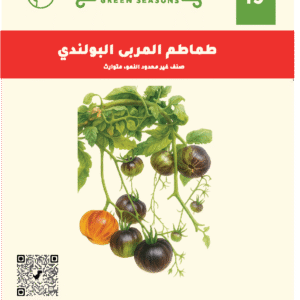 المربى البولندي