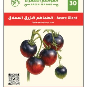 Azure Giant طماطم