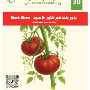 طماطم الثور الاسود