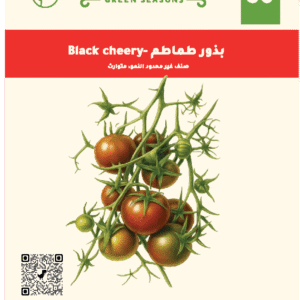 طماطم Black Cheery