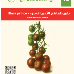 الامير الاسود