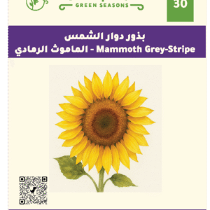 الماموث الرمادي