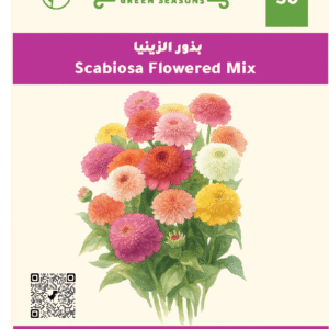 Scabiosa Flowered Mix