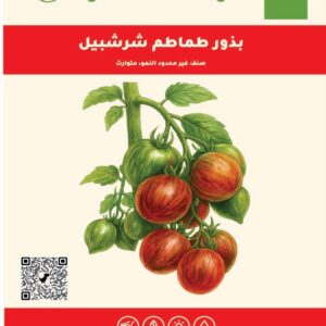 طماطم شرشبيل