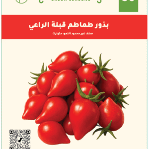 طماطم قبلة الراعي