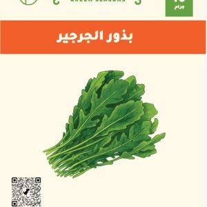 بذور الجرجير