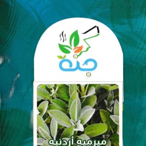 مرمية اردنية