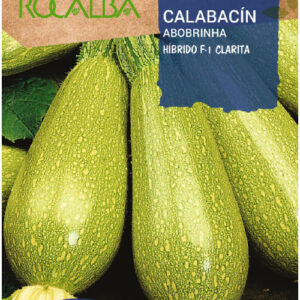 Hibrido F-1 Clarita كوسا