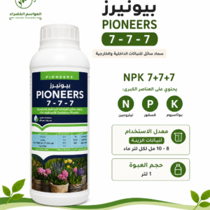 بيونيرز